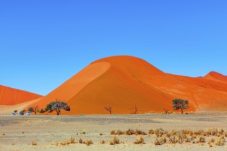 Majestic huge orange dunes. Grandiose paintings of sand dunes. Grand trip to Africa, Namib Naukluft