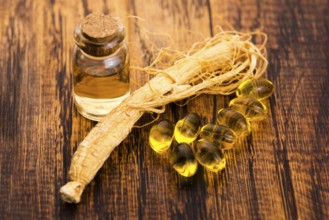 Korean ginseng. Herb, health, lodz, poland