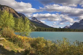 Northern lake surrounded by a wood and mountains in Canada