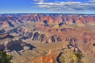 A grandiose landscape of the Grand Canyon in the USA
