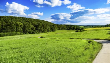Field path in the central Hessian landscape in summer