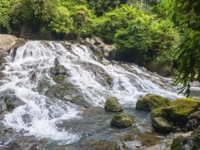 View on Goa Rang Reng waterfall, Bali, Indonesia, Asia