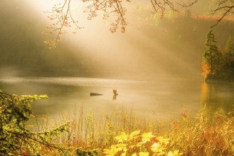 Beautiful landscape with autumn colors, sun rays and mist over lake and forest, in Fussen, Germany.