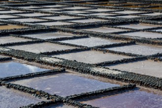 View on traditional rectangular salt evaporation ponds or salt pans creating a grid showing