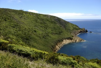 Caldeira do Inferno, Monte da Guia, Horta, Faial