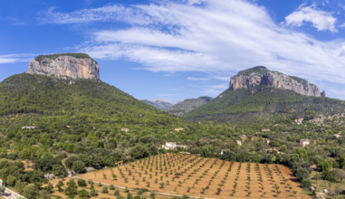 Puig del Castell d'Alaró 822 m and Puig d'Alcadena 817 m, Alaro, Majorca, Balearic Islands, Spain,