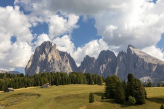 View over the Seiser Alm, Alpe di Siusi, to Langkofel and Plattkofel, South Tyrol