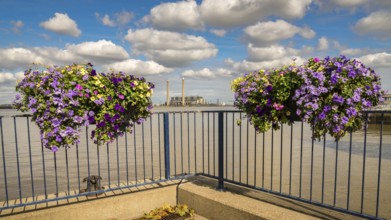 The shore of the River Thames in Gravesend, Kent, England, UK, with flower boxes and Tilbury Power