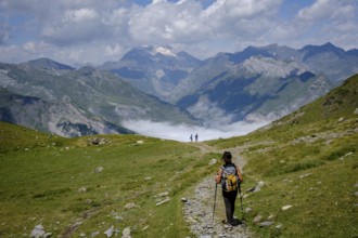 Hill of Hourqueta d´Allanz, Pyrenees National Park, Hautes-Pyrenees, France, Europe
