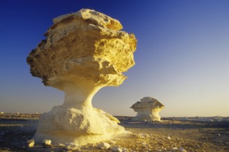Rock in the white desert, porcini mushroom, mushroom formation, Egypt, Africa
