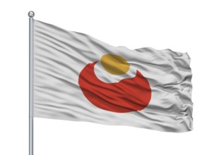 Unnann City Flag On Flagpole, Country Japan, Shimane Prefecture, Isolated On White Background
