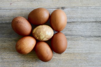 Seven painted Easter eggs on a wooden table