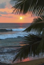 Beautiful sea sunset and palm leaves on foreground