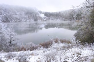 Forest lake in winter