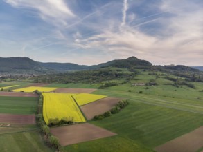 Fields in summer
