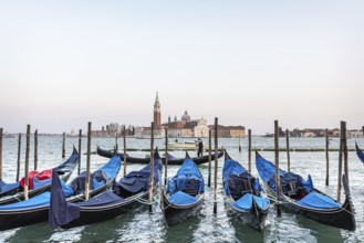 Gondolas tied up for the night, with Church San Giorgio Maggiore, Venice, Italy, Europe