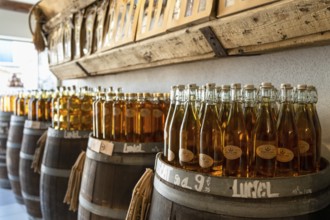 Saintes-Maries-de-la-Mer, France, 4 March, 2023: close-up view of many bottles of Muscatel wine