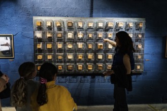 Original Marseille soap, Savonnerie du Midi soap factory, museum, Marseille, France, Europe