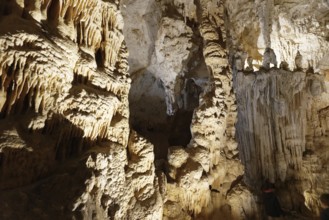 Grotte des Demoiselles