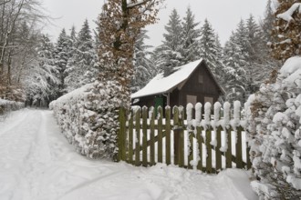 House by the forest