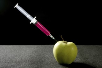 Bio genetics research of food, apple manipulation with syringe