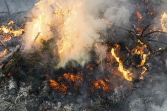 Close-up of fire with smoke, embers and ash
