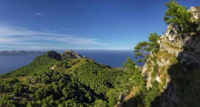 Senda del Puig de Sa Talaia, área natural de la Victòria, Alcúdia, Mallorca, balearic islands,