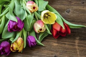 Colorful tulips on wooden table