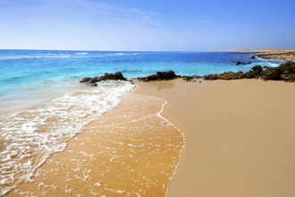 Beautiful beach in fuerteventura spain