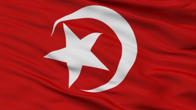 Nation Of Islam Flag, Closeup View