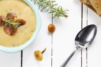 Forest mushroom soup with bread and rosemary