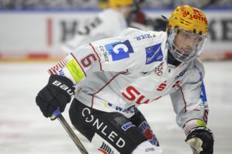 LanxessArena, Cologne, North Rhine-Westphalia, Anders Grönlund (Fischtown Pinguins, #6), PENNY DEL,