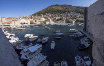 Old harbour, Dubrovnik, Dalmatia, Croatia, Europe