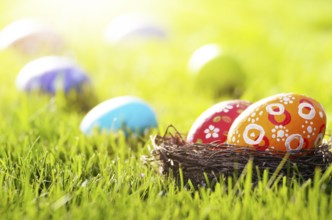Easter eggs in the nest on green spring grass