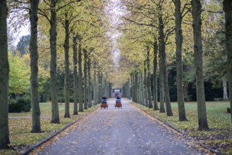 Copenhagen, Denmark, October 27, 2022: People in a tree alley on Vestre Cemetery during autumn,