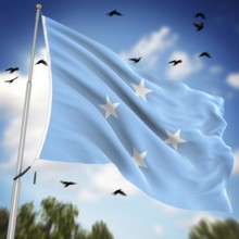 Flag of the Federated States of Micronesia, This is a computer generated and 3d rendered image