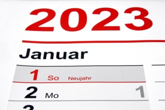 1 January, a new year begins