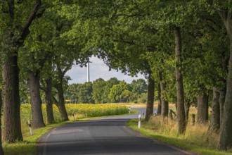 Country road