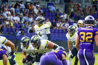 European League of Football, ELF/ Halbfinalspiel : Stuttgart Surge @ Vienna Vikings am 16. Sept.