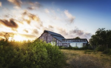 An Old Barn at Sunset, Panoramic Color Image, USA, North America