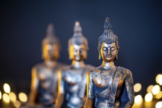 Netherlands. October 2022.buddha statue in calm rest pose. Shakyamuni Buddha is a spiritual