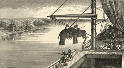 Transportation of elephants from India to Africa