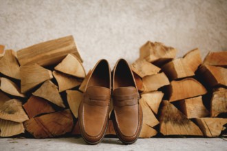 Brown men's shoes Penny loafers at the wood logs for the firebox.