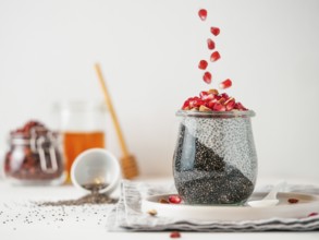 Healthy breakfast concept and idea - two colors chia pudding with organic raw pomegranate. Glass