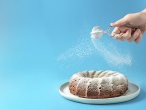 Woman's hand sprinkling icing sugar over fresh home made bundt cake. Powder sugar falls on fresh