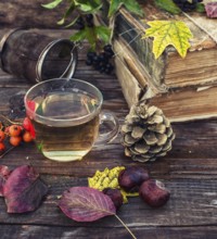Cup of herbal tea amid the bundles of old books in the autumn style
