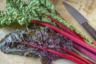 Red-stemmed chard on a beechwood board