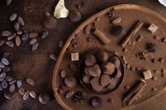 Healthy delicious chocolate truffles around ingridients with natural cocoa beans, powder, cacao
