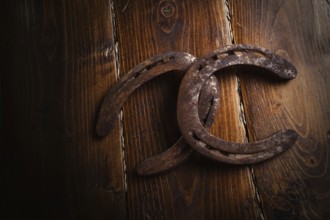 Equestrian background. Lucky old horseshoes laying at wooden background