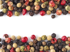 Mixed peppercorns background with white copy space in center. Food background with peppercorns.